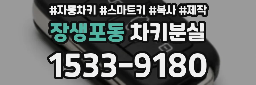 장생포동 차키분실