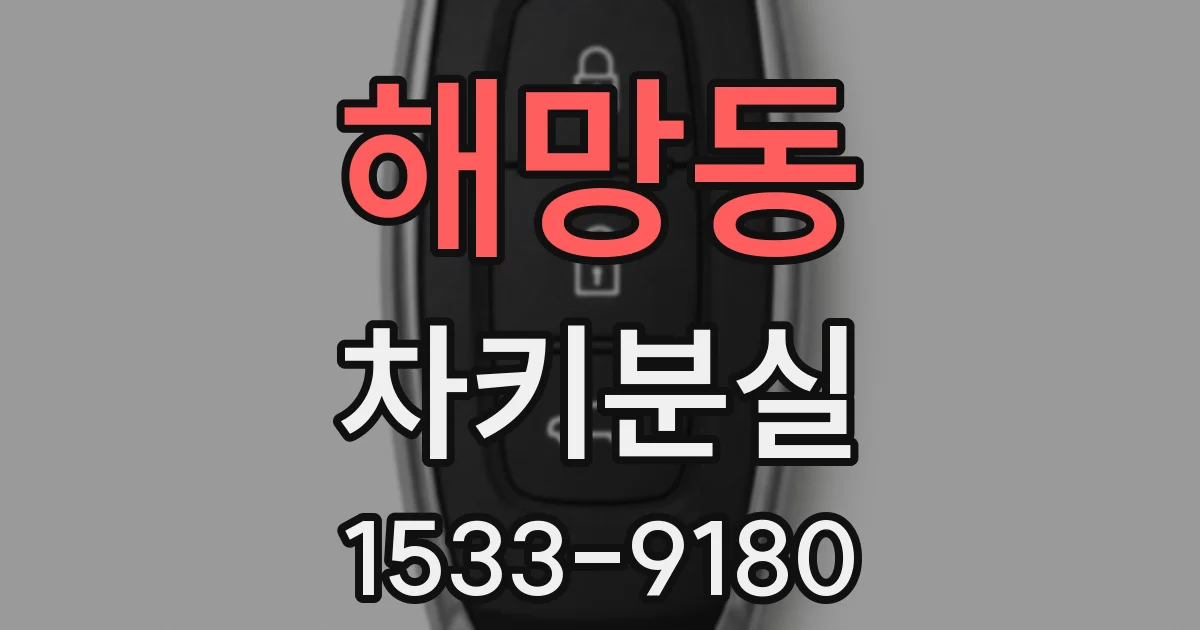 해망동 차키분실