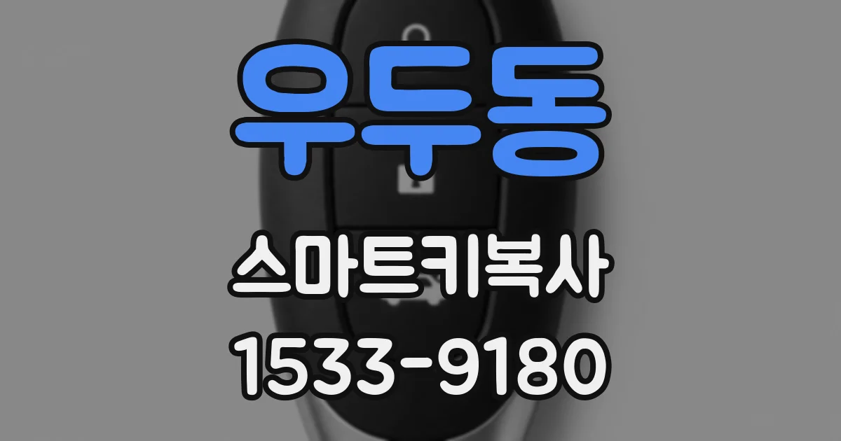 우두동 스마트키복사
