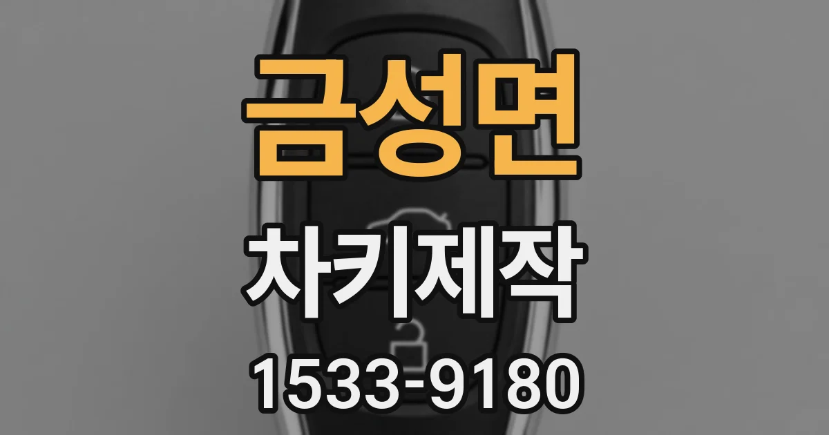 금성면 차키제작
