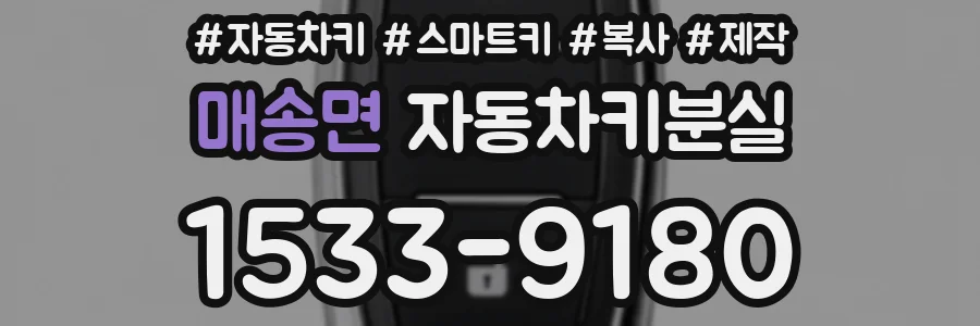 매송면 자동차키분실