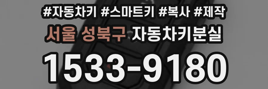 서울 성북구 자동차키분실