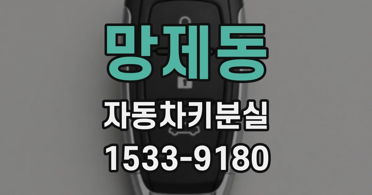 망제동 자동차키분실