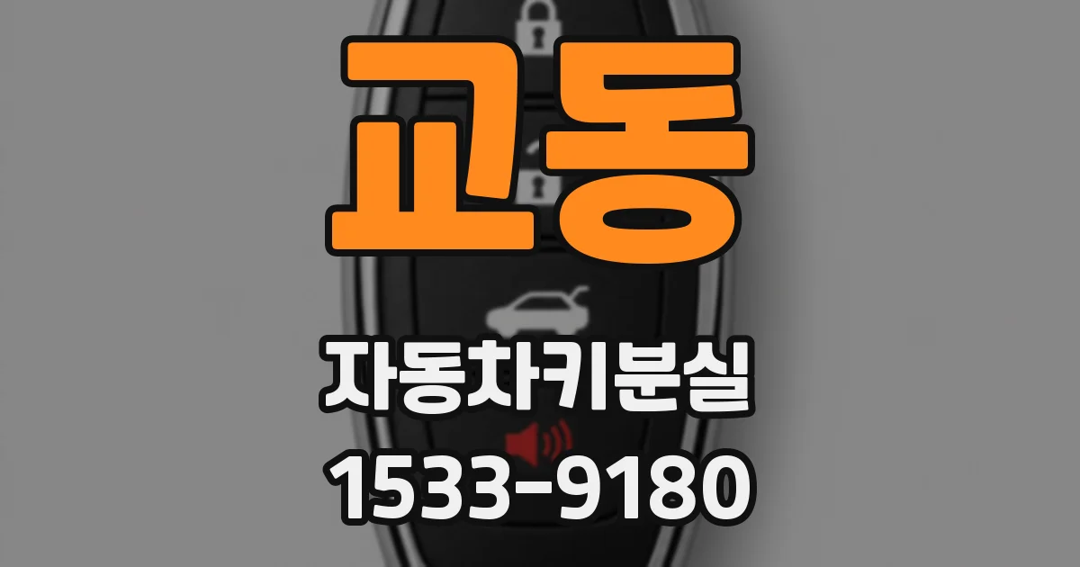 교동 자동차키분실