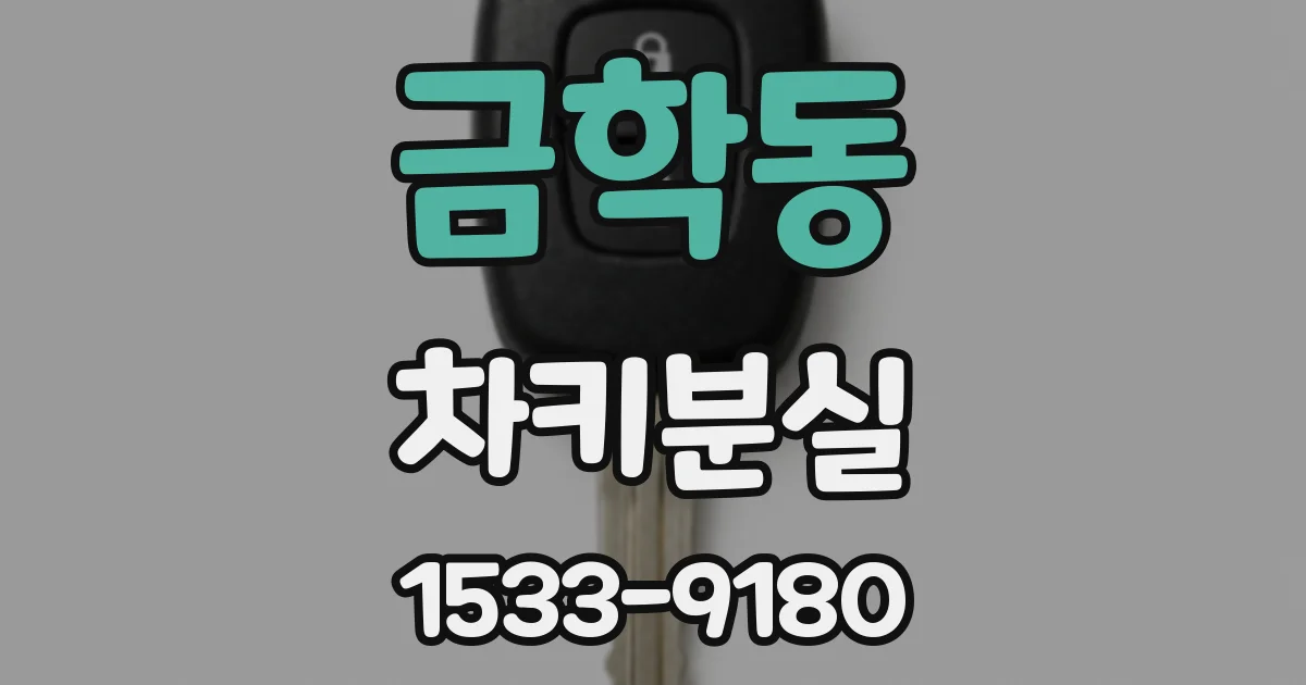 금학동 차키분실