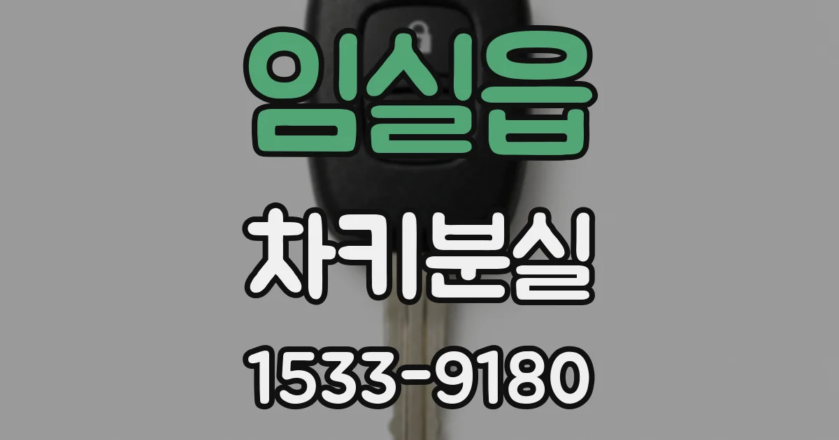 임실읍 차키분실