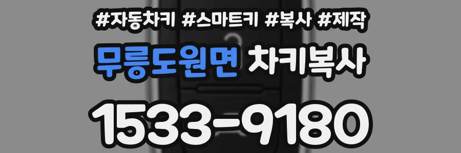무릉도원면 차키복사