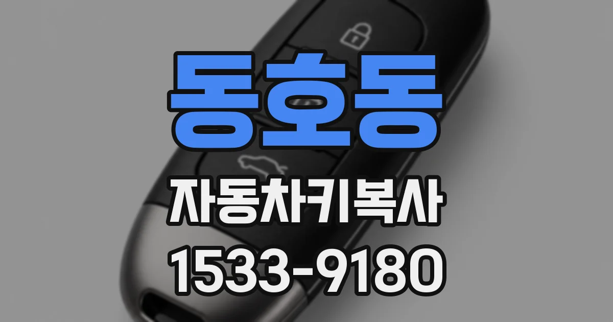동호동 자동차키복사