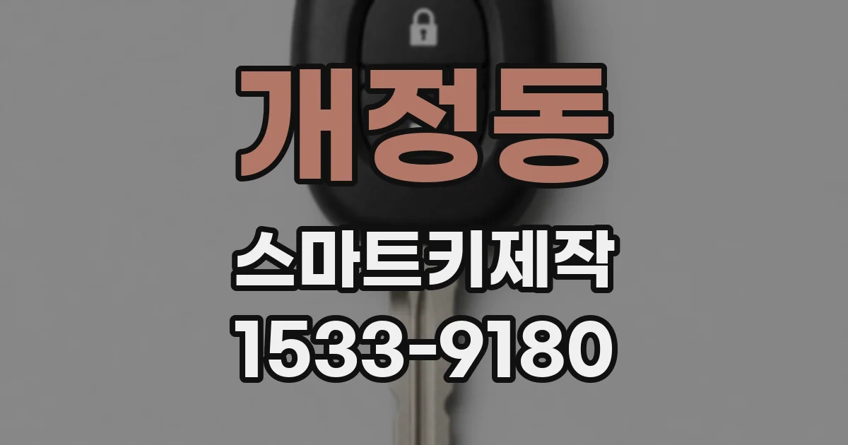 개정동 스마트키제작