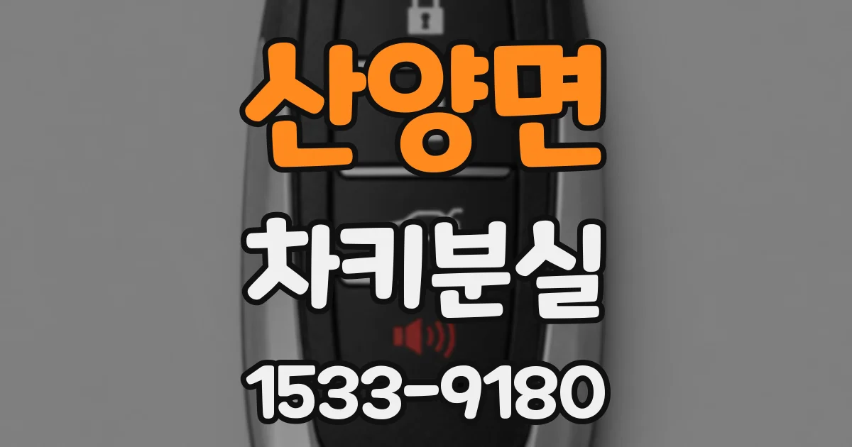 산양면 차키분실