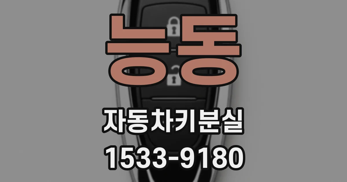 능동 자동차키분실