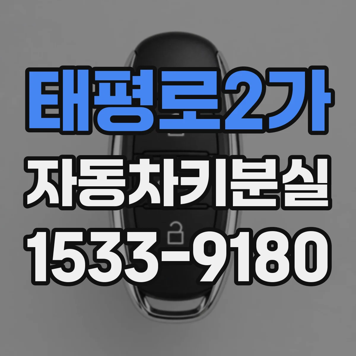태평로2가 자동차키분실