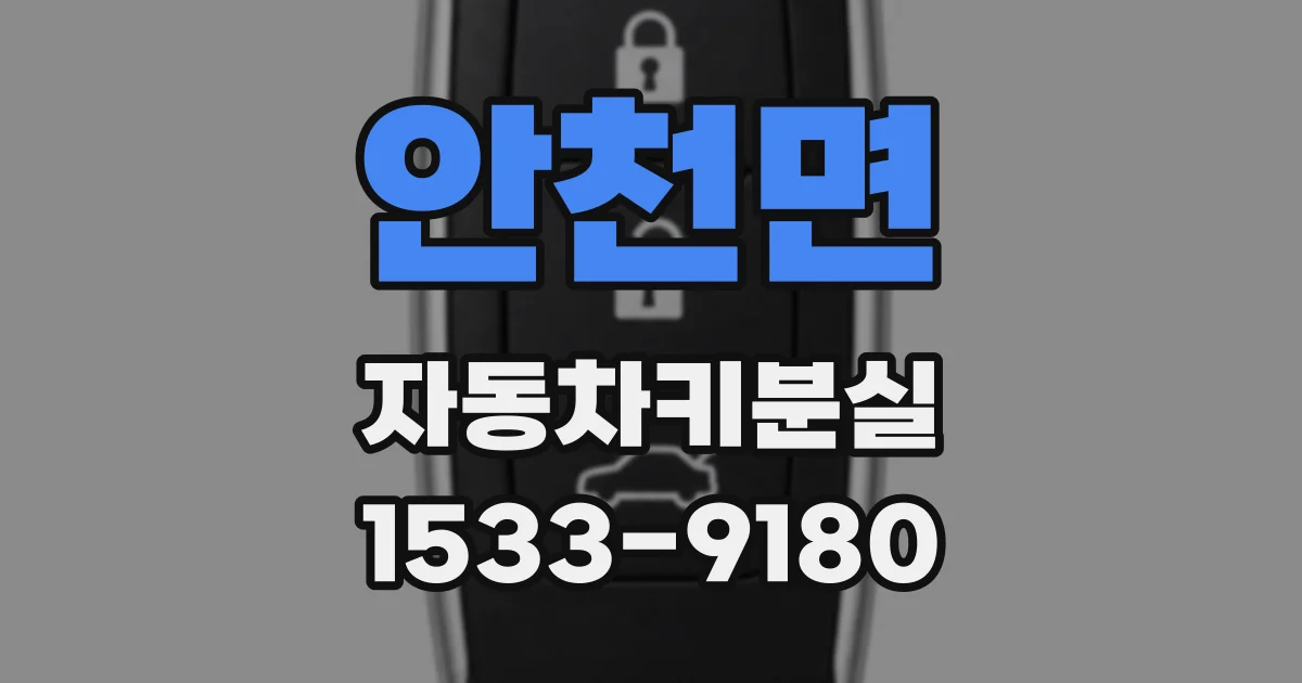 안천면 자동차키분실