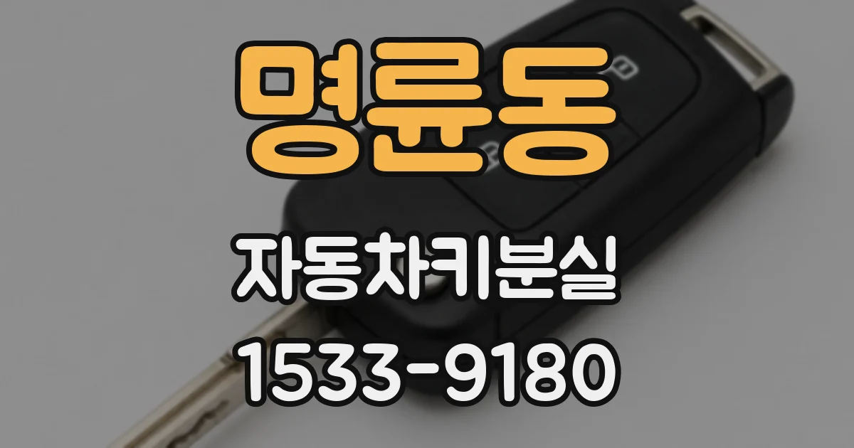 명륜동 자동차키분실