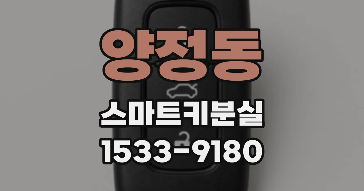양정동 스마트키분실