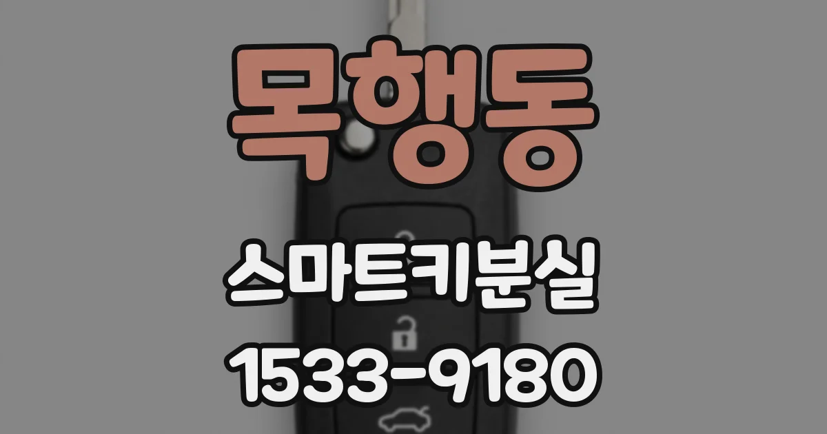 목행동 스마트키분실