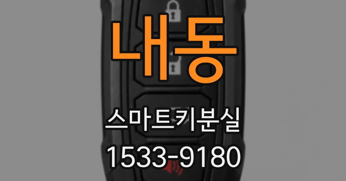 내동 스마트키분실