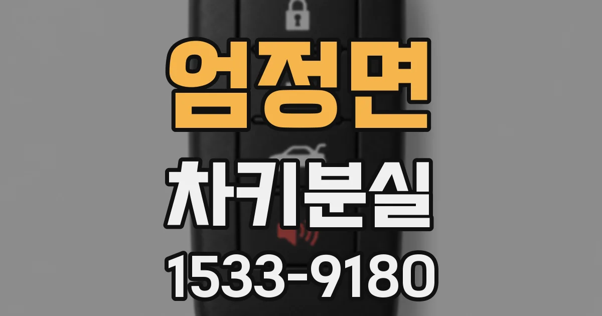 엄정면 차키분실
