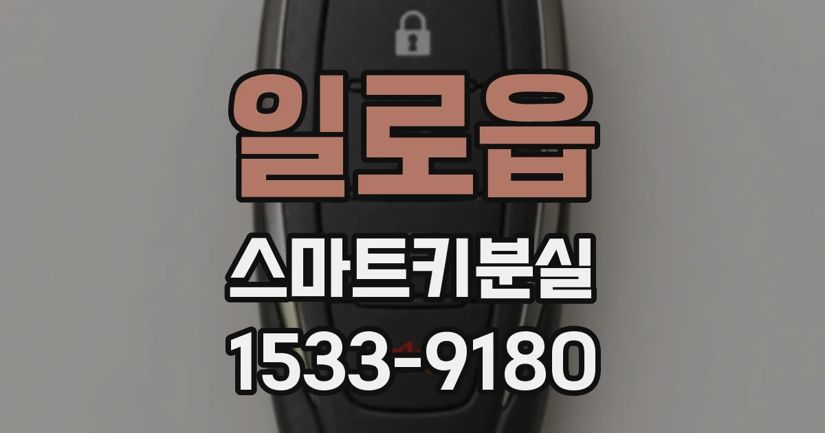 일로읍 스마트키분실