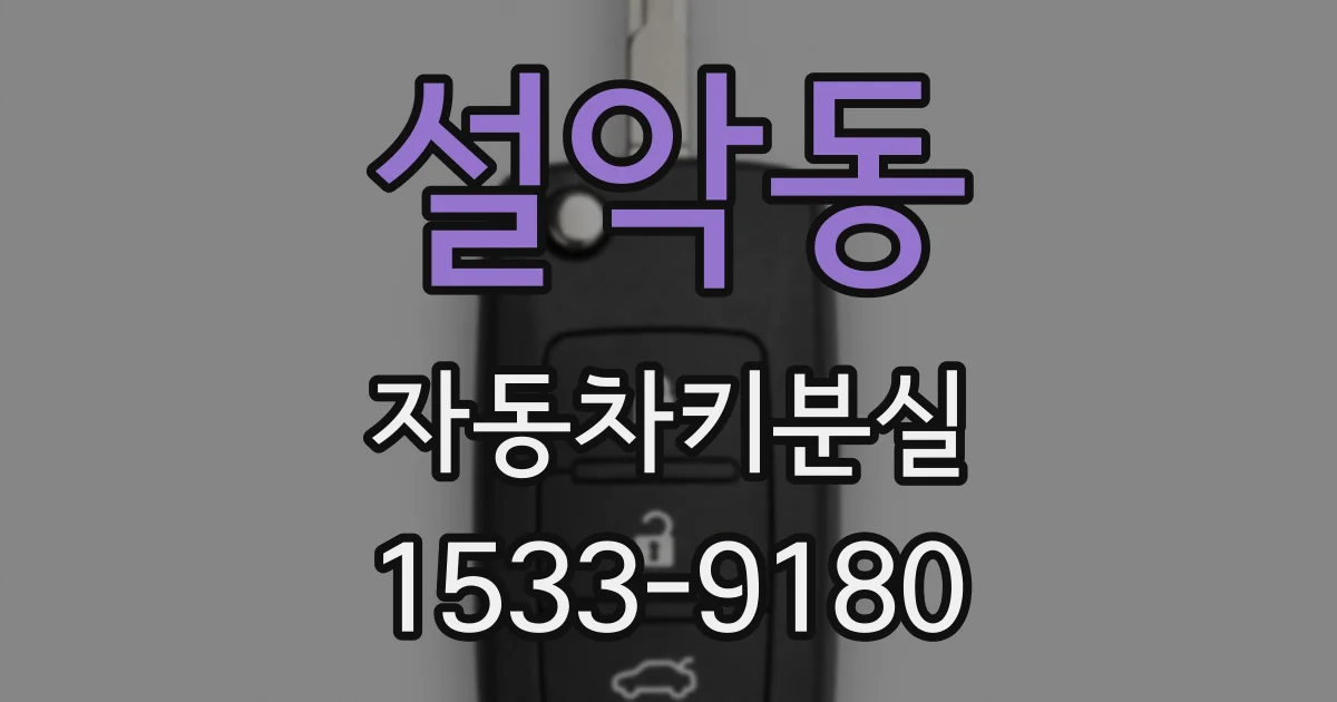 설악동 자동차키분실