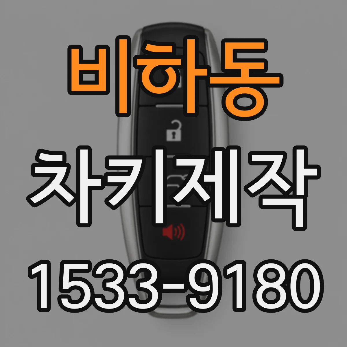비하동 차키제작