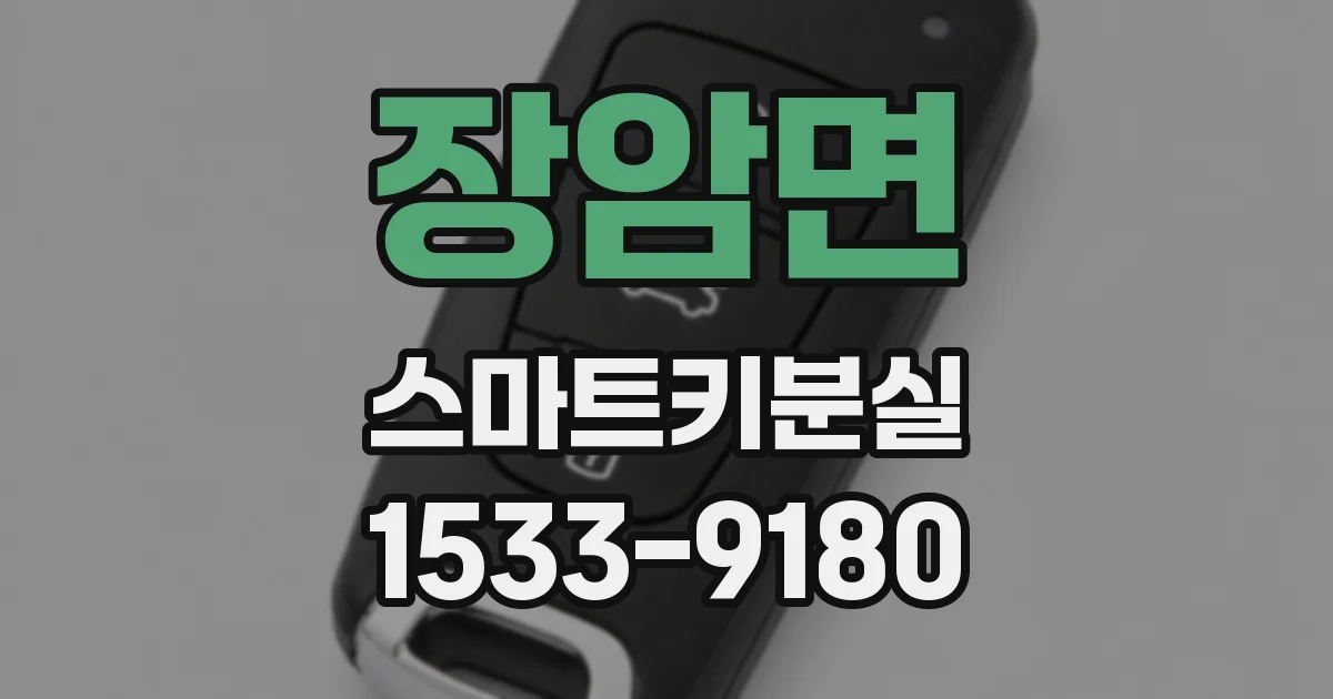장암면 스마트키분실