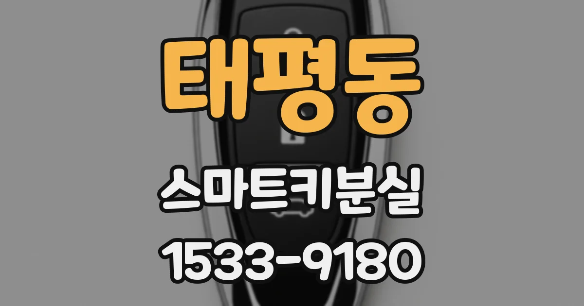 태평동 스마트키분실