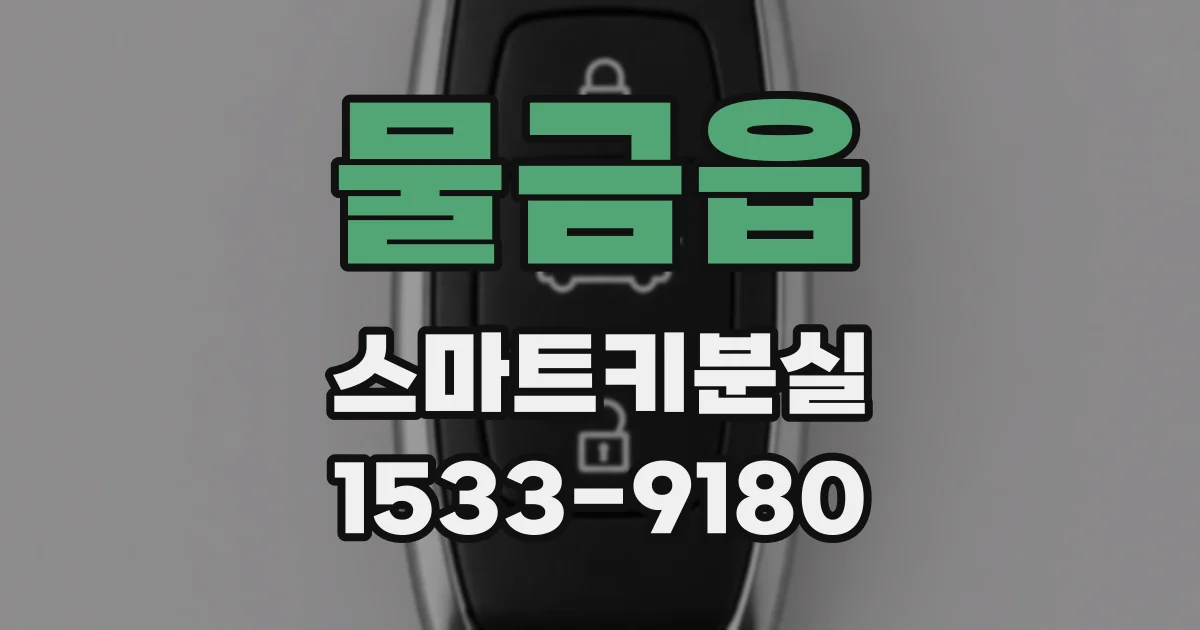 물금읍 스마트키분실