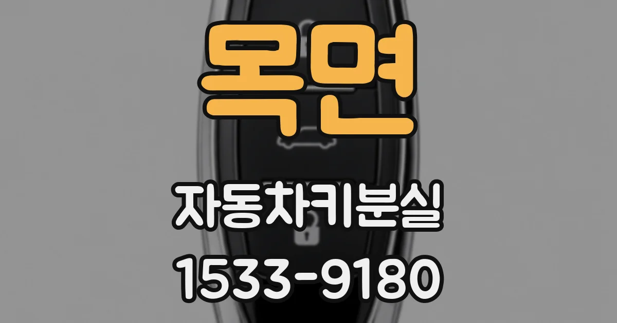 목면 자동차키분실