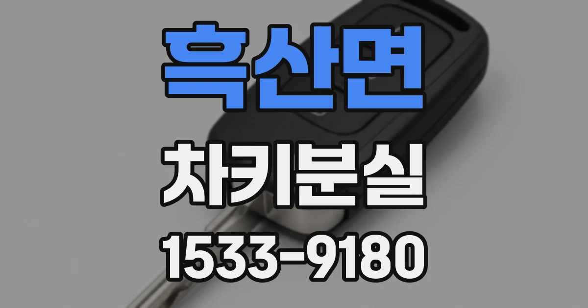 흑산면 차키분실