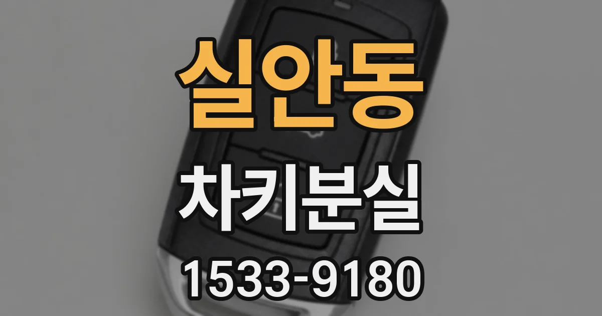 실안동 차키분실