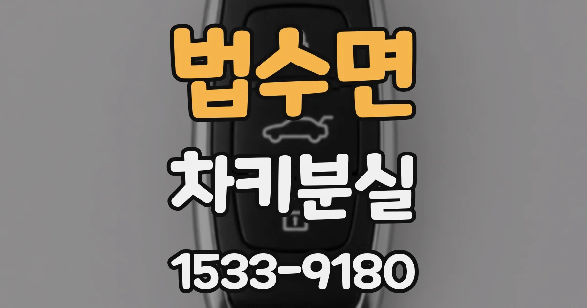 법수면 차키분실