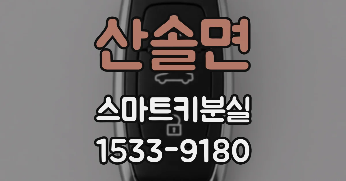 산솔면 스마트키분실