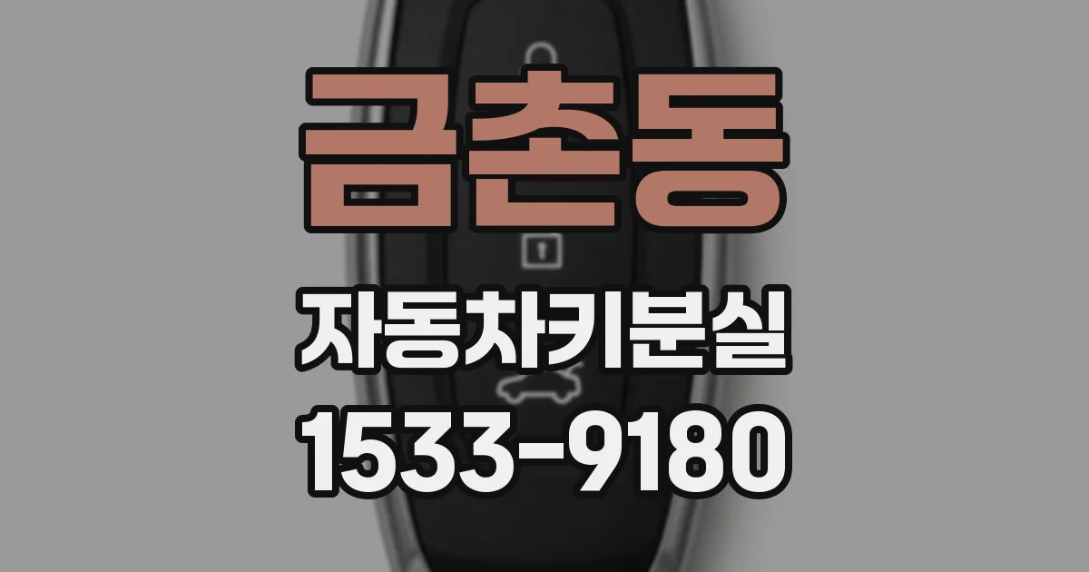 금촌동 자동차키분실