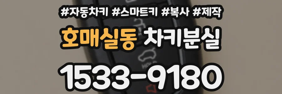호매실동 차키분실