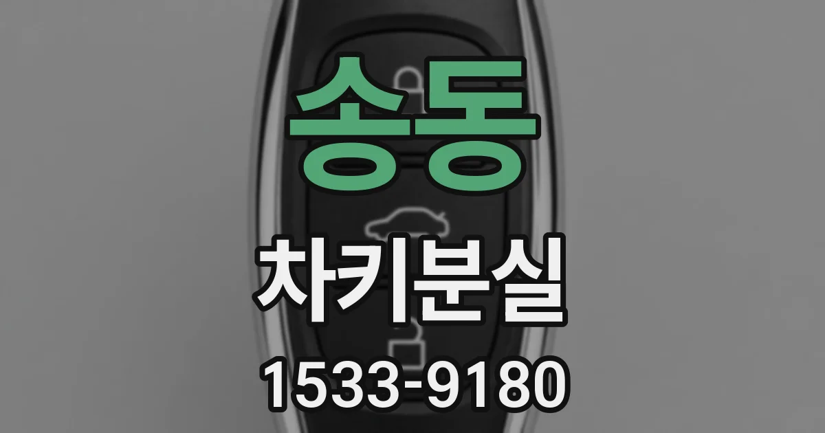 송동 차키분실