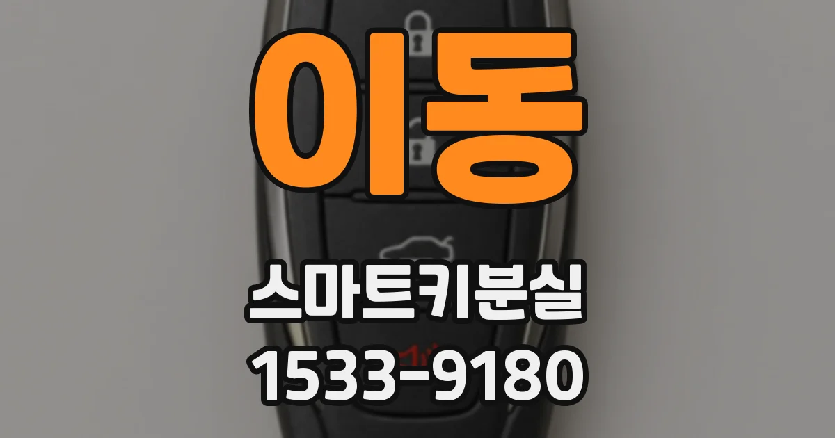 이동 스마트키분실