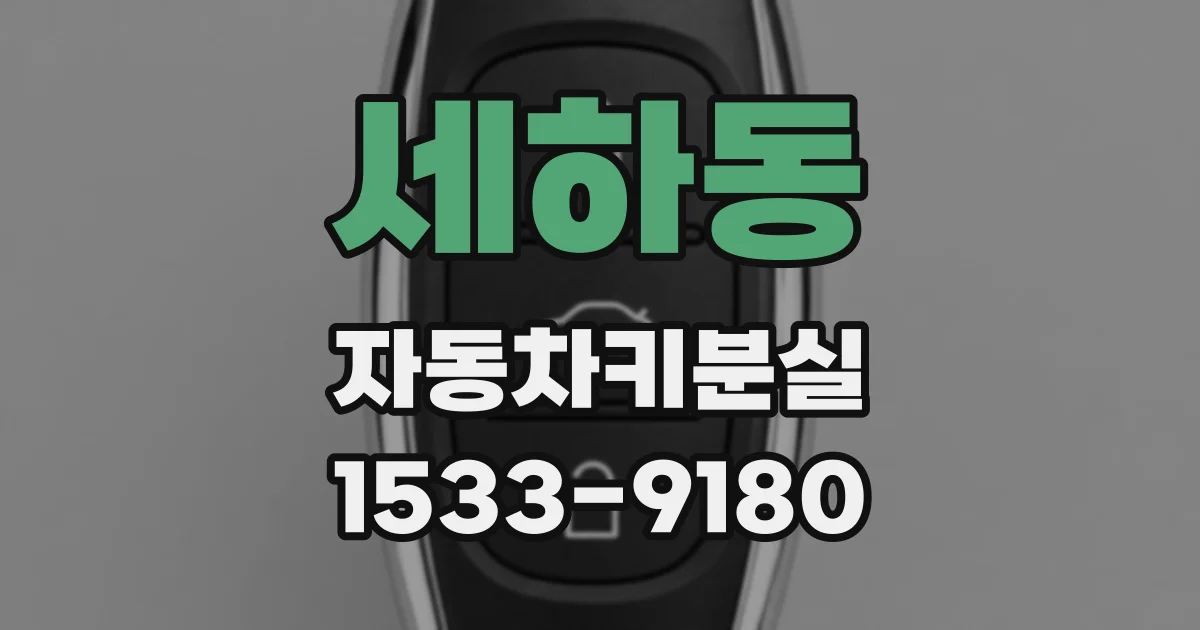 세하동 자동차키분실