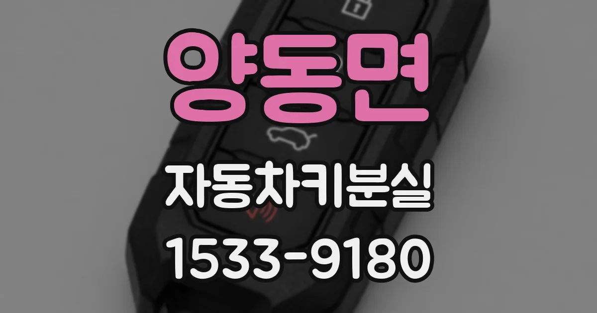 양동면 자동차키분실