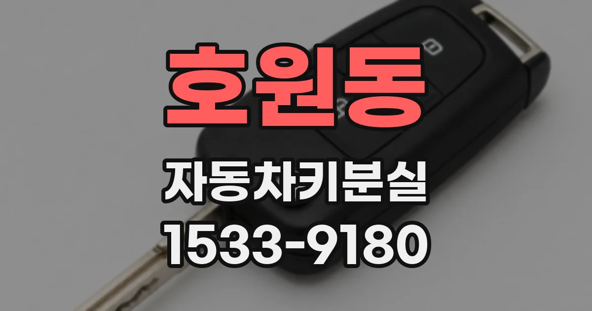 호원동 자동차키분실