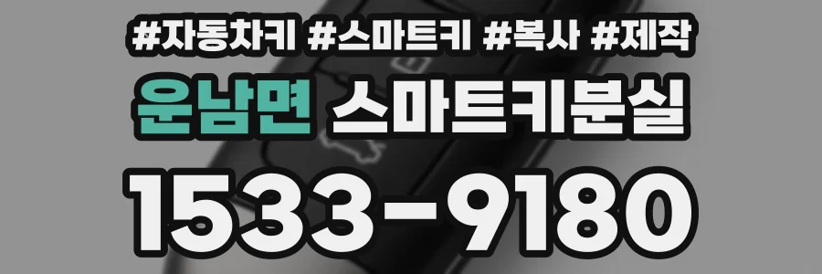 운남면 스마트키분실