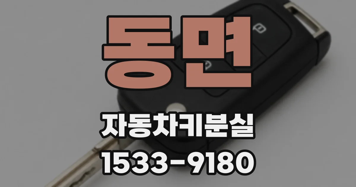 동면 자동차키분실