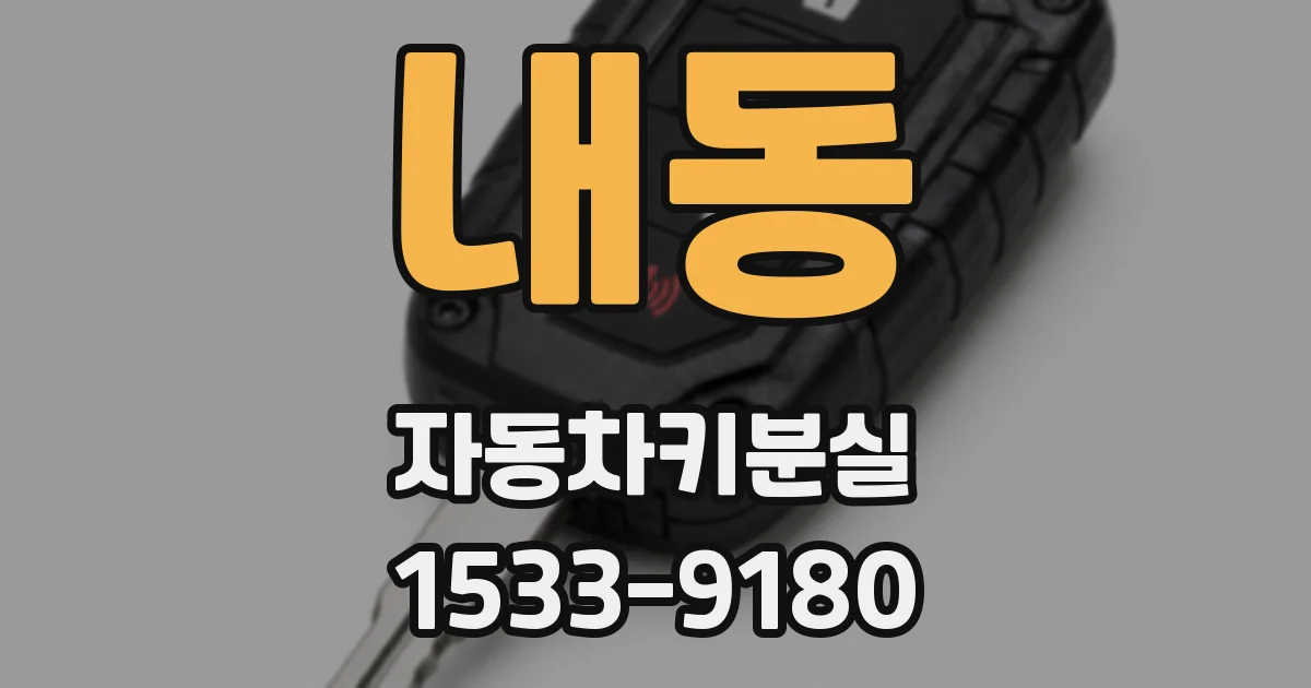 내동 자동차키분실