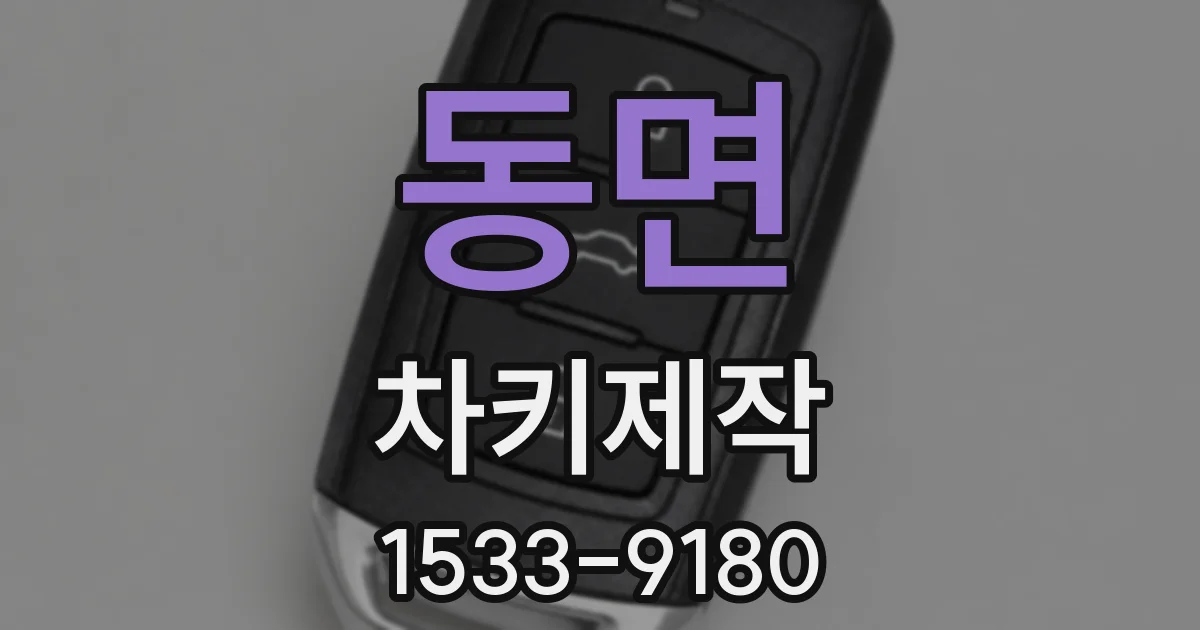 동면 차키제작