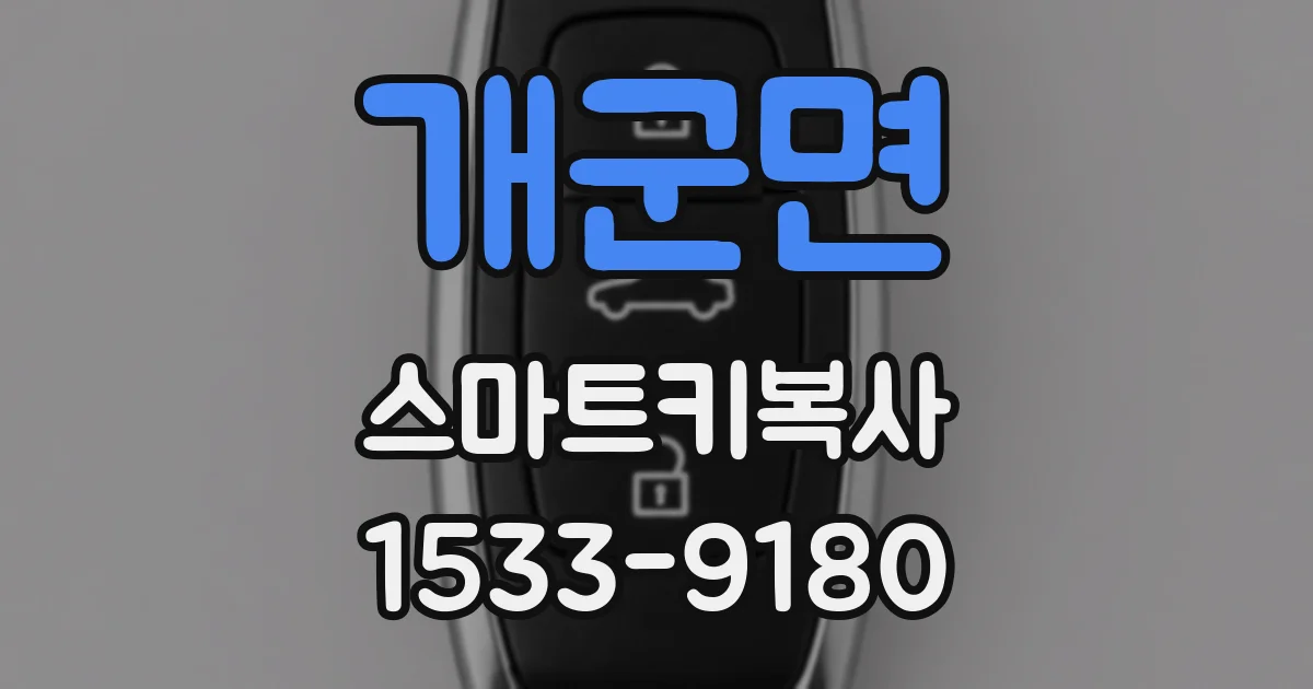 개군면 스마트키복사