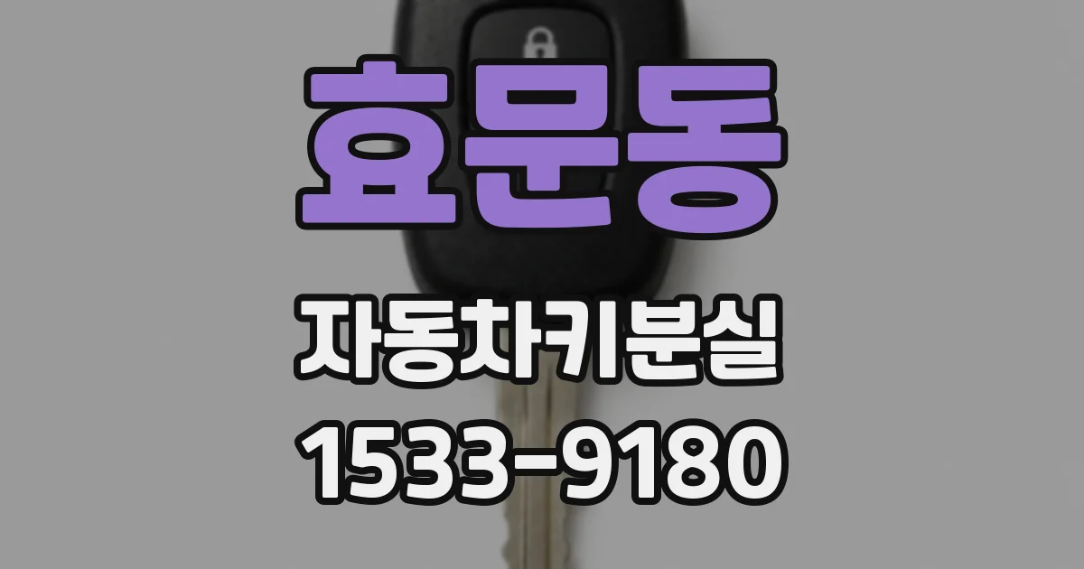 효문동 자동차키분실