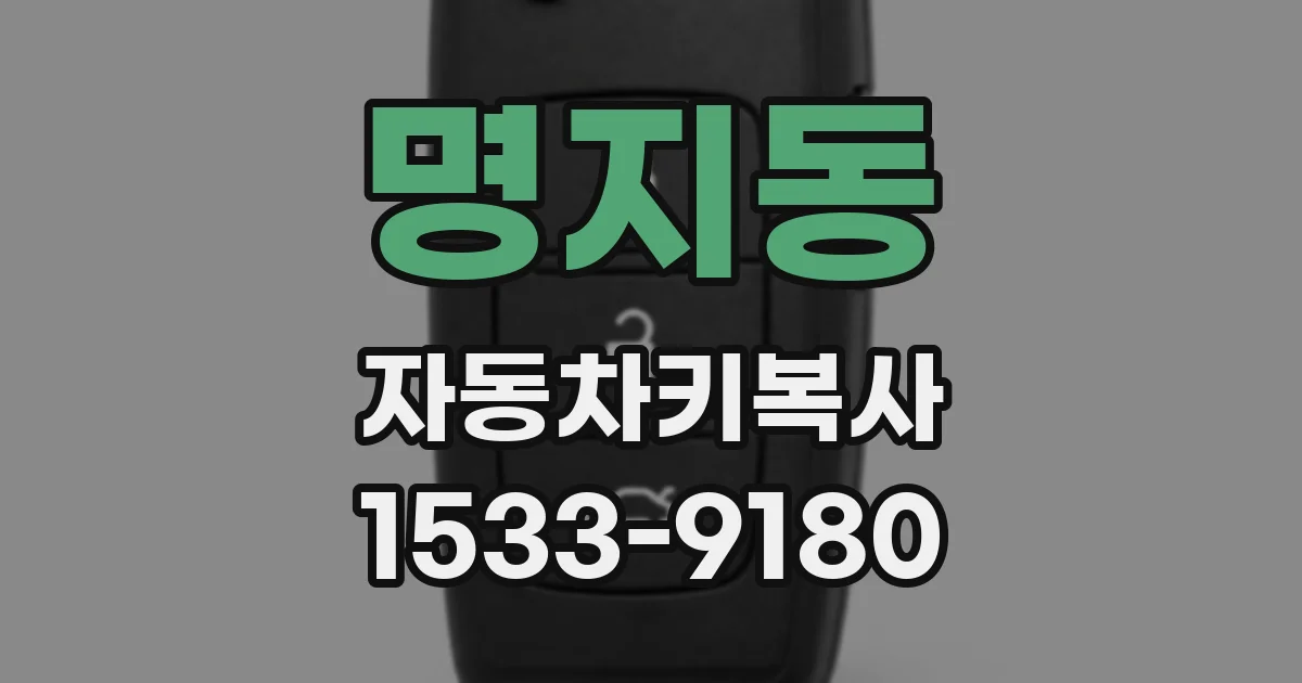 명지동 자동차키복사