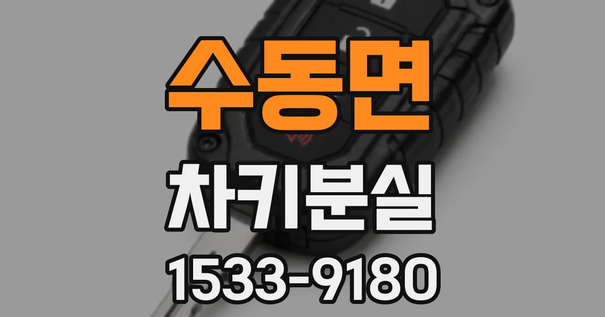 수동면 차키분실