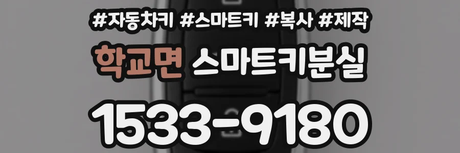 학교면 스마트키분실