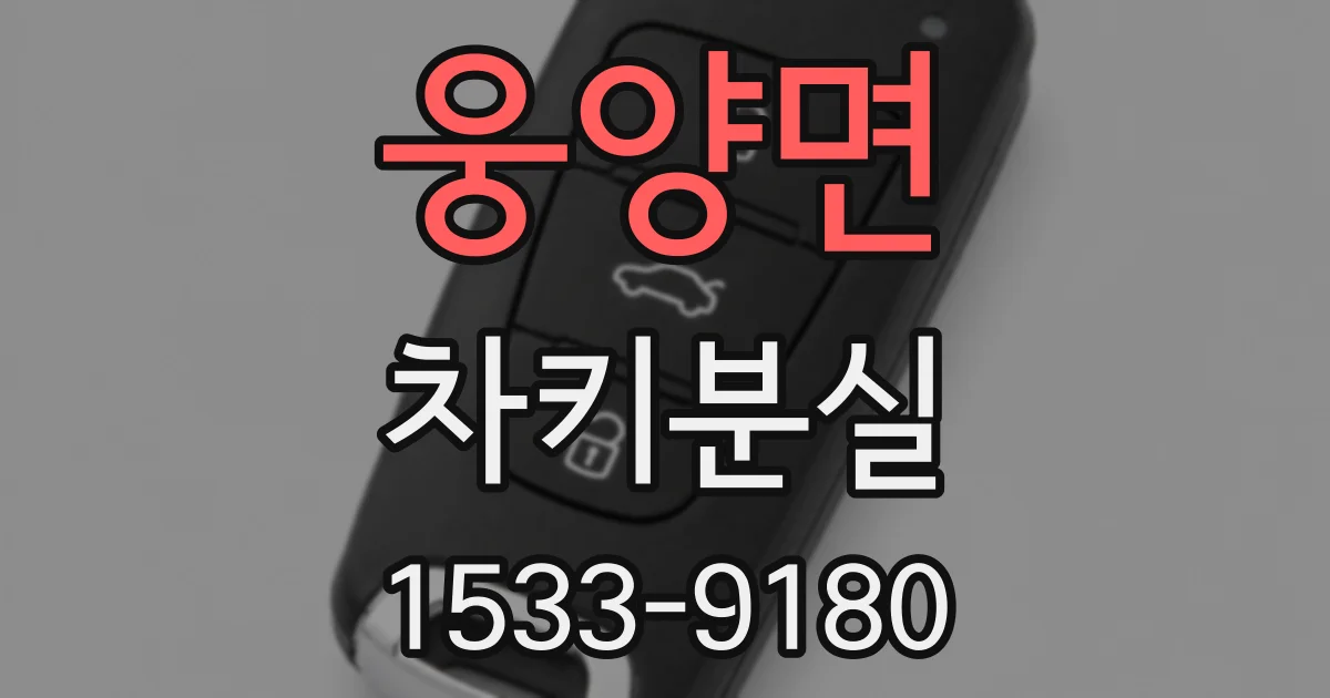 웅양면 차키분실